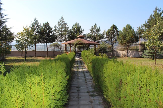 Yurt Resmi